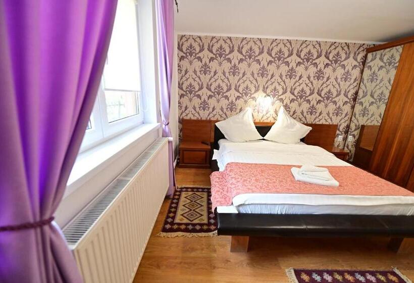 Номер Стандарт, Pensiunea Darian & David