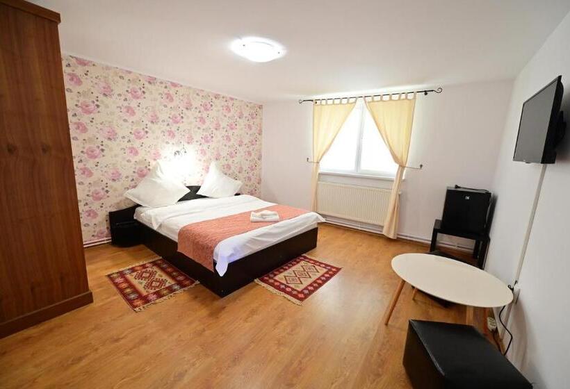 Номер Стандарт, Pensiunea Darian & David