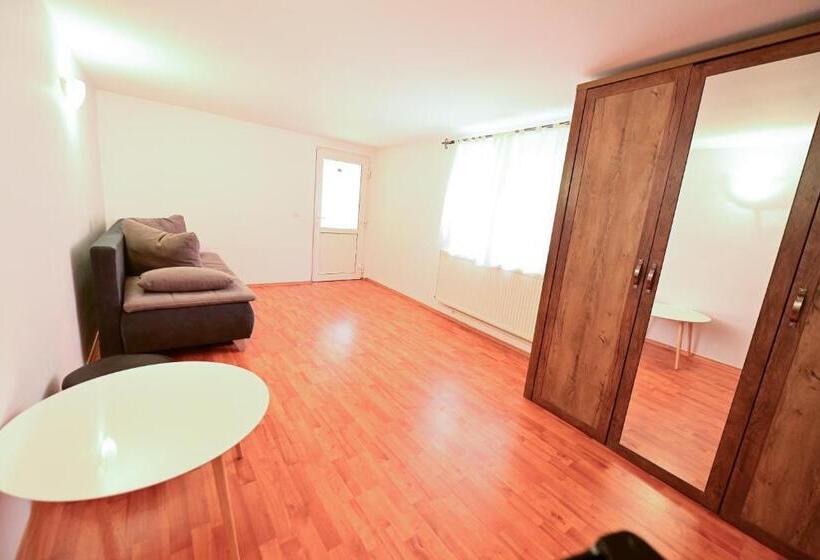 Апартаменты 1 Спальня, Pensiunea Darian & David