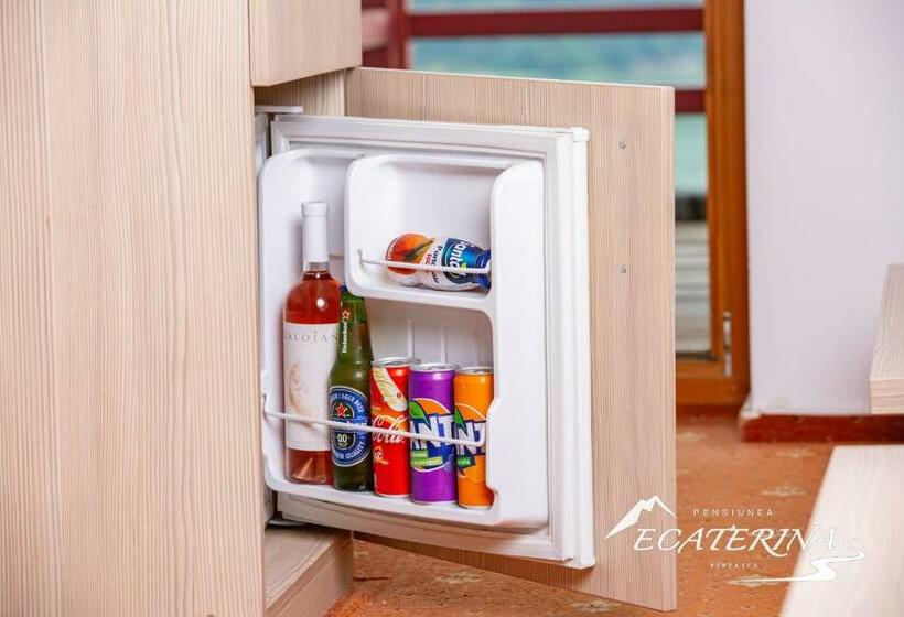 Номер Стандарт, Pensiunea Ecaterina