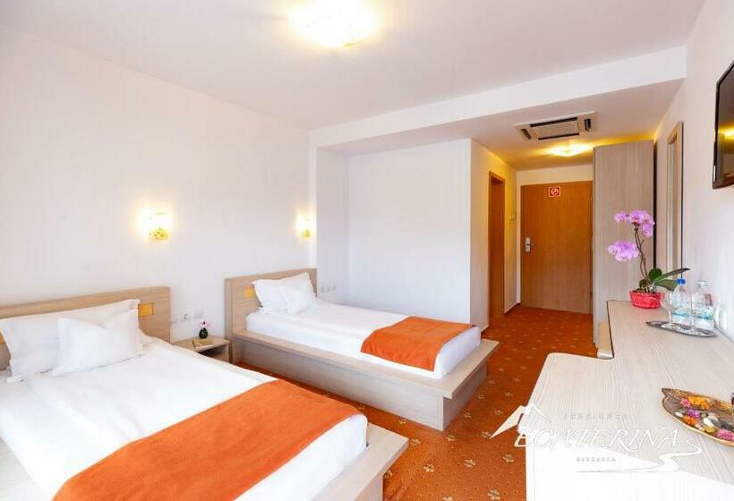 Номер Стандарт, Pensiunea Ecaterina