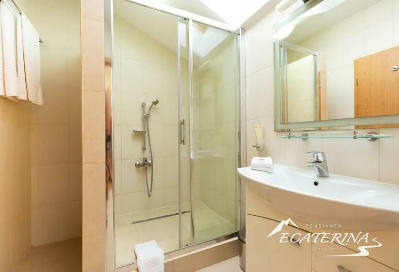 Номер Стандарт, Pensiunea Ecaterina