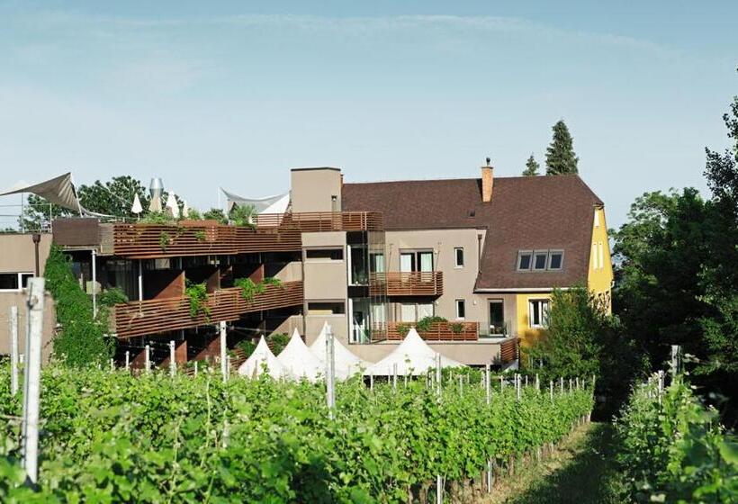 جناح جونيور مزوَّد بشرفة, Weingartenhotel Harkamp Südsteiermark