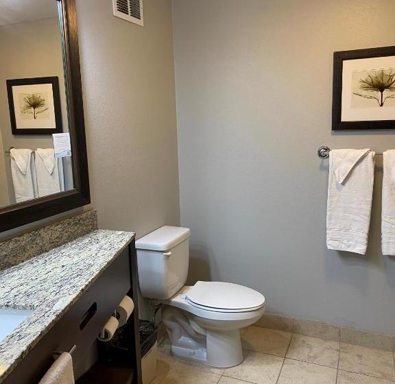 身障者適用キングサイズベッドルーム, Americinn By Wyndham Algona