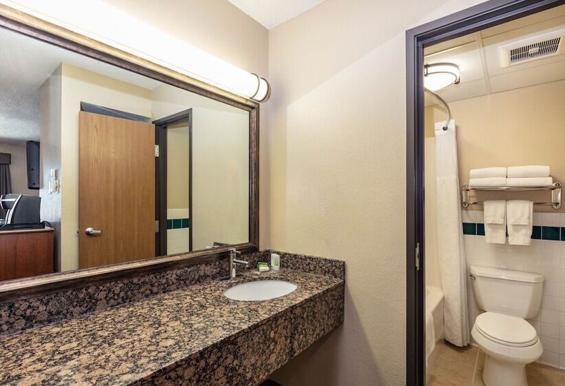 جناح ديلوكس سرير كينج, Americinn By Wyndham Marshall