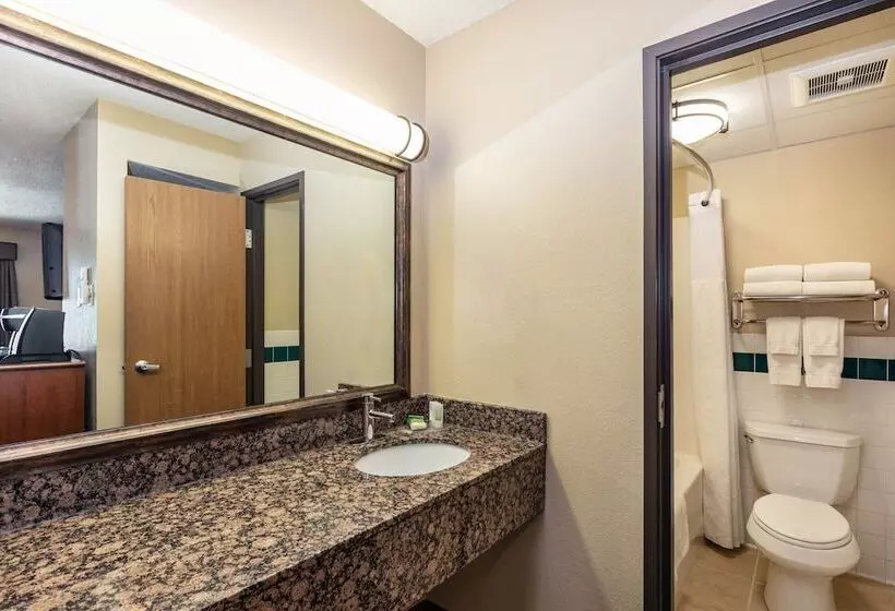 Deluxe Suite King Bed, Americinn By Wyndham Marshall
