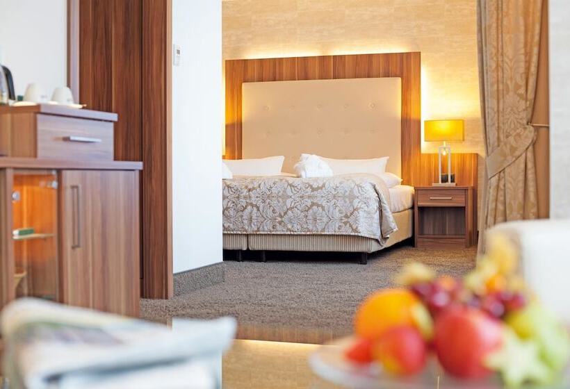 商务房间, Best Western Plus Hotel Böttcherhof