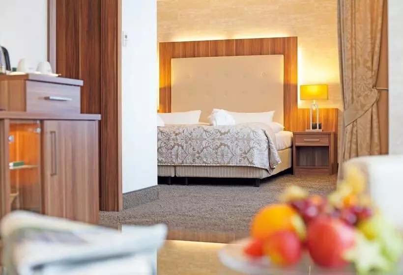 اتاق کلاس بیزنس, Best Western Plus Hotel Böttcherhof
