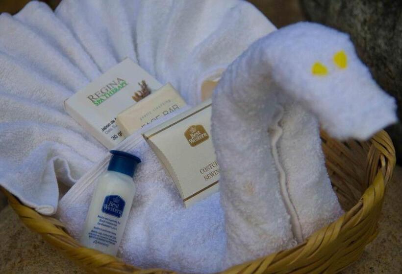 ２ダブルベッドのスタンダードルーム, Best Western Posada Chahue