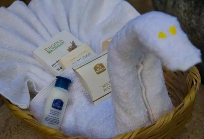 اتاق استاندارد با 2 تخت دوبل, Best Western Posada Chahue
