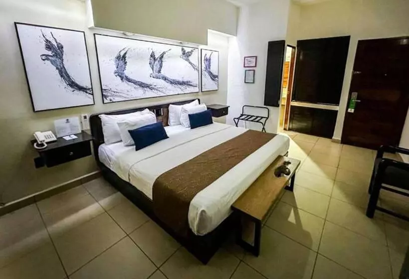 سوئیت با تخت بزرگ, Best Western Posada Chahue