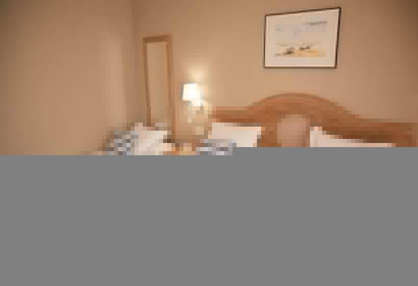 스탠다드 트리플 룸, Dwo Les Palmeres