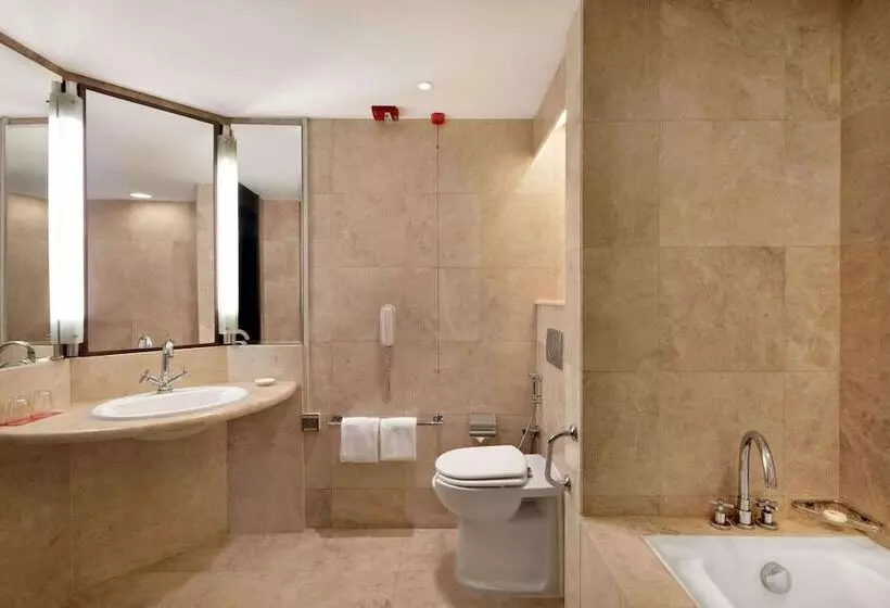 اتاق دلوکس مخصوص معلولین, Ramada Plaza By Wyndham Dubai Deira