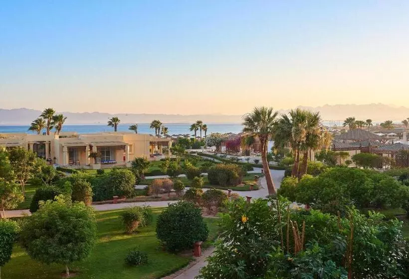 اتاق استاندارد, Sheraton Soma Bay Resort
