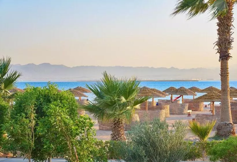 سوئیت اجرایی با تخت کینگ, Sheraton Soma Bay Resort