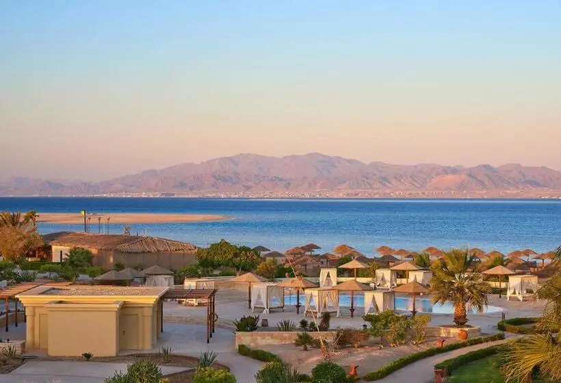 سوئیت اجرایی با تخت کینگ, Sheraton Soma Bay Resort