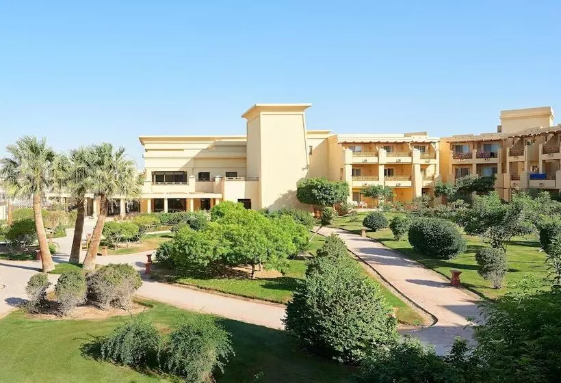 اتاق استاندارد, Sheraton Soma Bay Resort