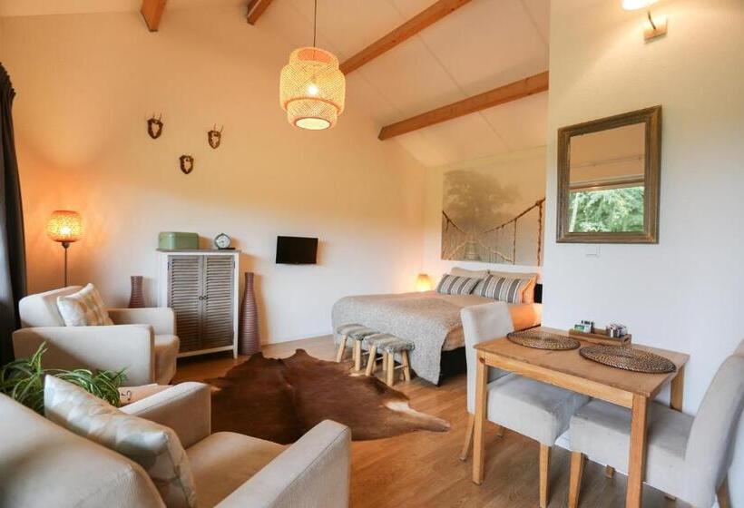 חדר סטנדרט, De Rolders