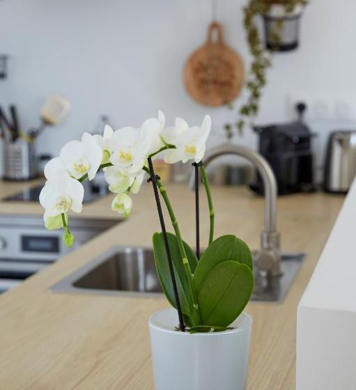 Люкс Вид на Сад, La Bertonnerie En Champagne