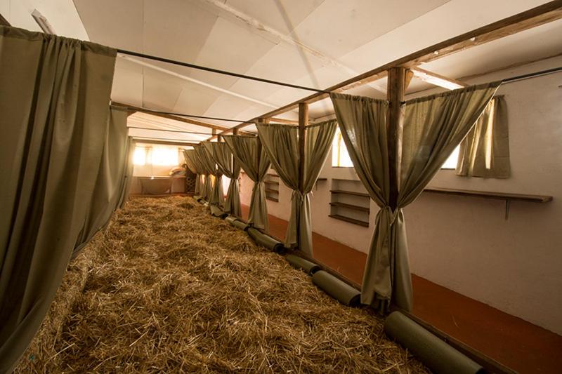 共用房间的床, Agriturismo La Finca