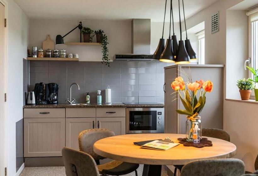 דירת שני חדרים, De Johanneshoeve