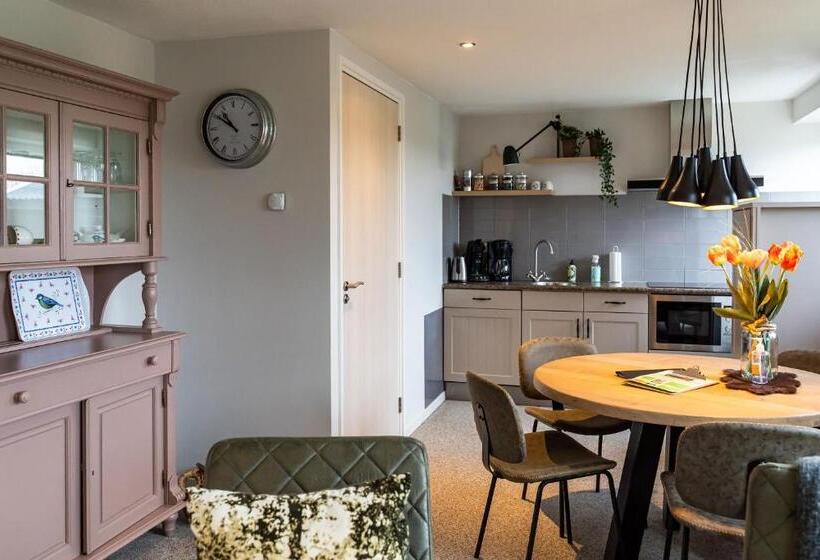 דירת שני חדרים, De Johanneshoeve