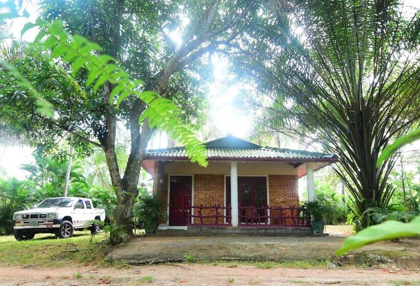 Хижина, Surasa