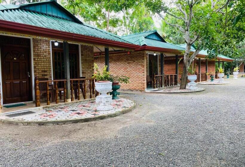 Номер Economy, Surasa