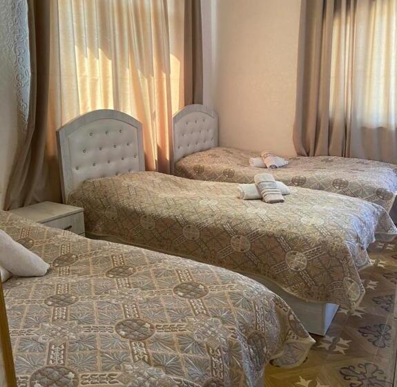 이코노미 트리플 룸, Tatev Shinuhayr