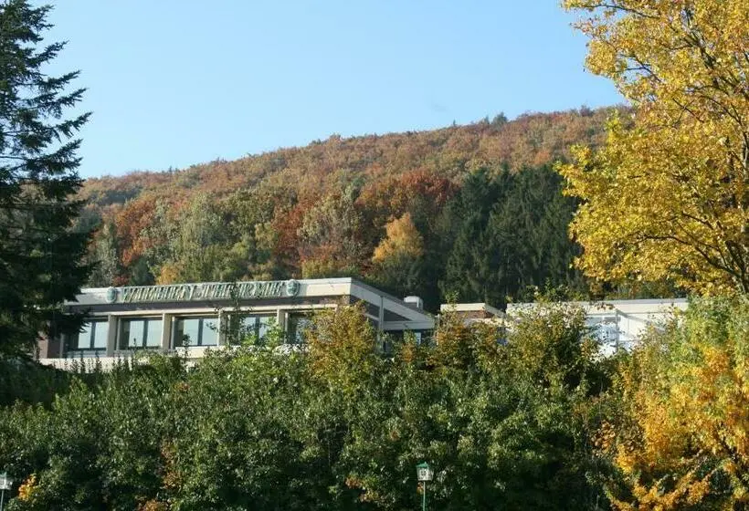 エコノミーシングルルーム, Wiehen Therme