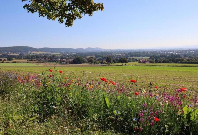 基本间, Wiehen Therme