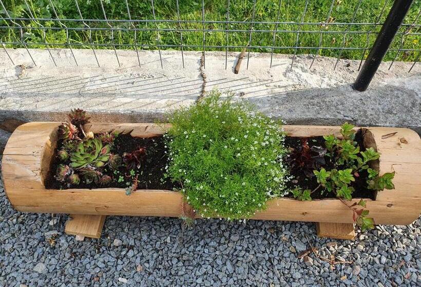 וילה בת חדר שינה 1, Pensiune Agroturistică Casa Alex