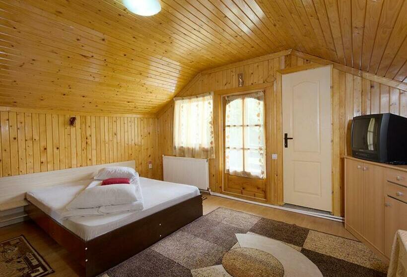 标准间带山景, Pensiunea Bobu