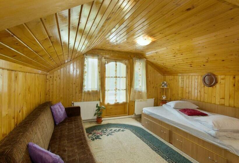 标准房带园景, Pensiunea Bobu