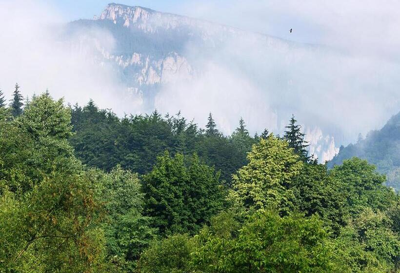 经济房, Pensiunea Bobu