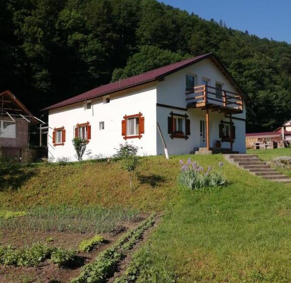 标准间, Pensiunea Bobu