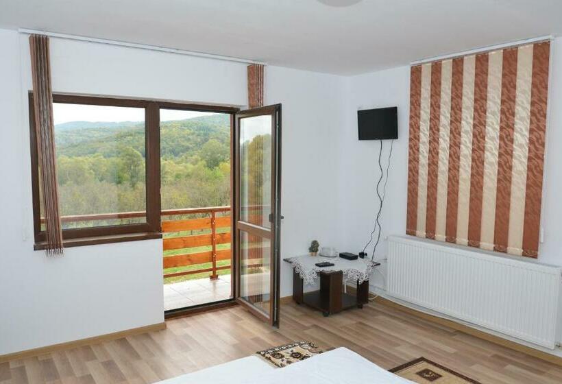 Стандартный Номер Кровать Кинг, Pensiunea Lavinia