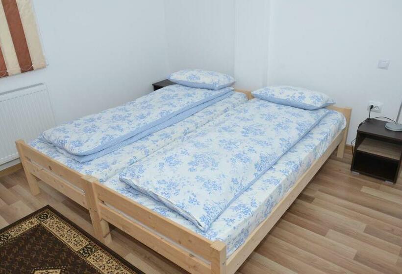 Стандартный Номер Кровать Кинг, Pensiunea Lavinia