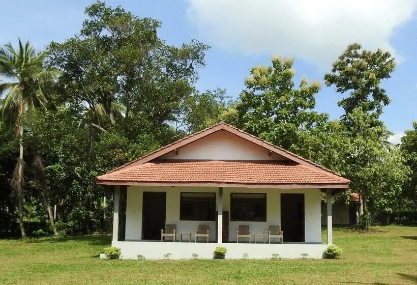 スーペリアールーム, Ambarella Lodge   Katunayake