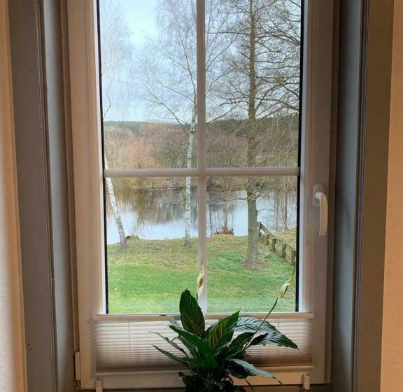 스탠다드 룸 호수 전망, Landgasthof Wetteraperle