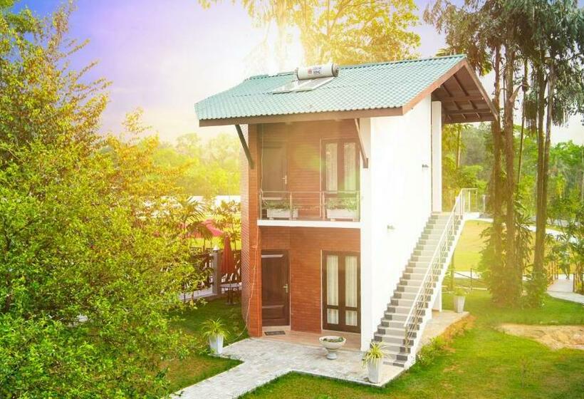 デラックスルーム, Lavenro Garden