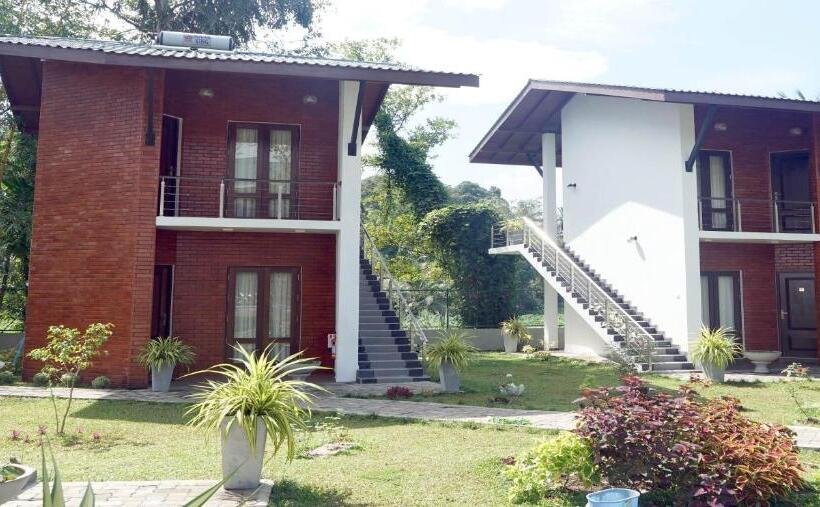 デラックスルーム, Lavenro Garden