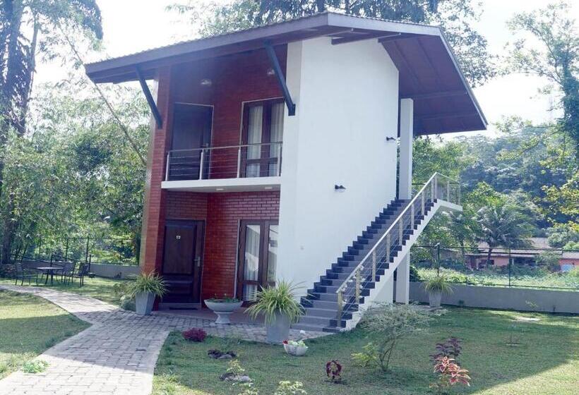 デラックスルーム, Lavenro Garden