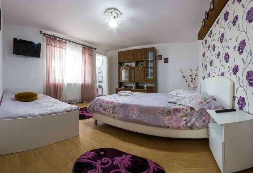 Номер Стандарт Трехместный, Casa De Vacanta Marya