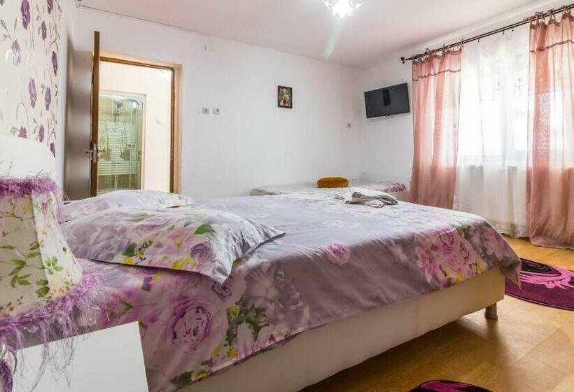 اتاق استاندارد سه نفره, Casa De Vacanta Marya