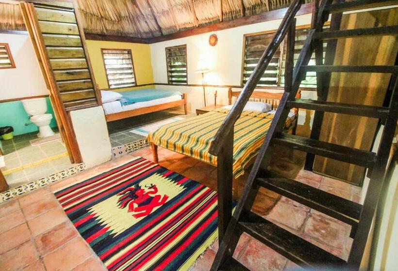 标准三人间, Cohune Palms River Cabanas