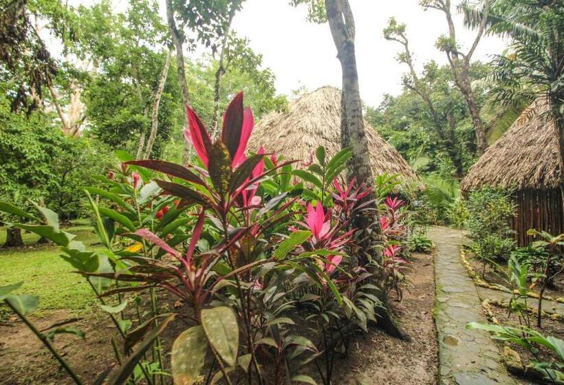 غرفة قياسية ثلاثية, Cohune Palms River Cabanas