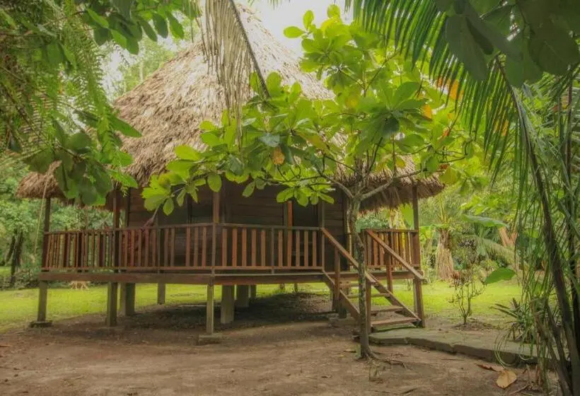 اتاق استاندارد سه نفره, Cohune Palms River Cabanas