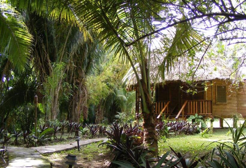 غرفة قياسية ثلاثية, Cohune Palms River Cabanas