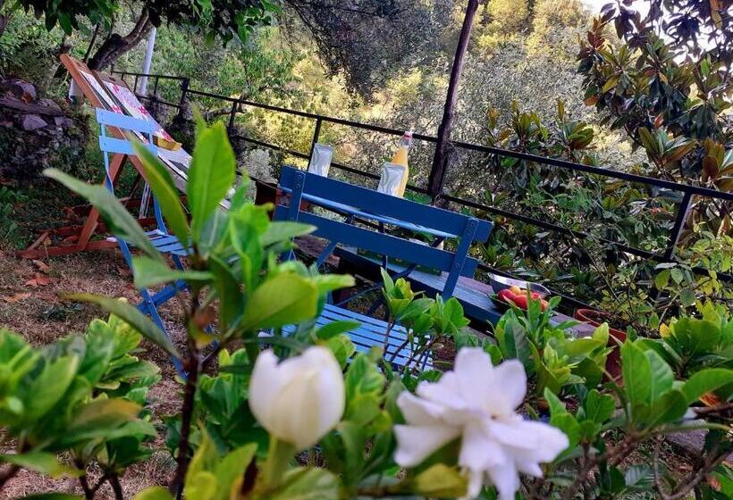 스탠다드 룸, B&b I Glicini